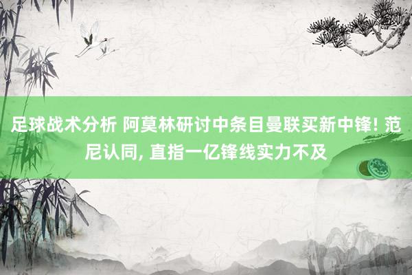 足球战术分析 阿莫林研讨中条目曼联买新中锋! 范尼认同, 直指一亿锋线实力不及