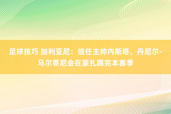 足球技巧 加利亚尼：信任主帅内斯塔，丹尼尔-马尔蒂尼会在蒙扎踢完本赛季