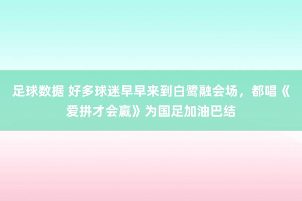 足球数据 好多球迷早早来到白鹭融会场，都唱《爱拼才会赢》为国足加油巴结