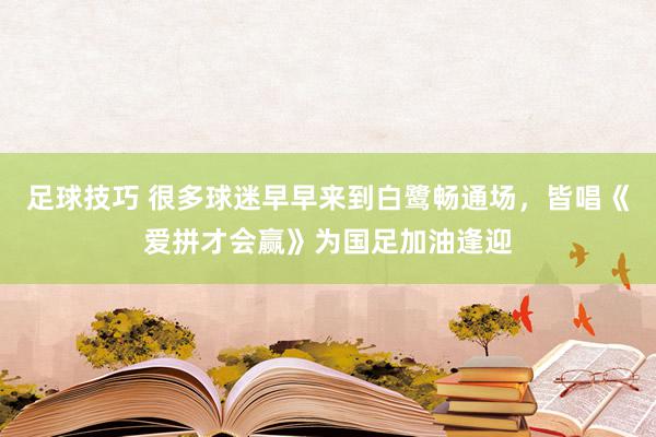 足球技巧 很多球迷早早来到白鹭畅通场，皆唱《爱拼才会赢》为国足加油逢迎