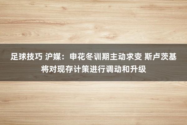 足球技巧 沪媒：申花冬训期主动求变 斯卢茨基将对现存计策进行调动和升级