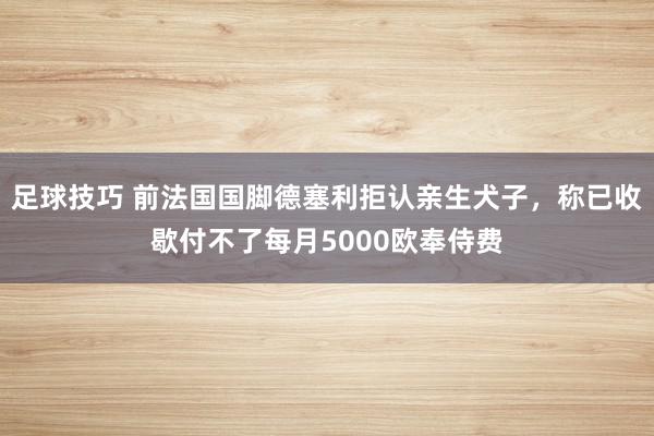 足球技巧 前法国国脚德塞利拒认亲生犬子，称已收歇付不了每月5000欧奉侍费