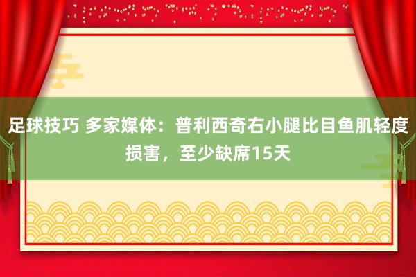 足球技巧 多家媒体：普利西奇右小腿比目鱼肌轻度损害，至少缺席15天