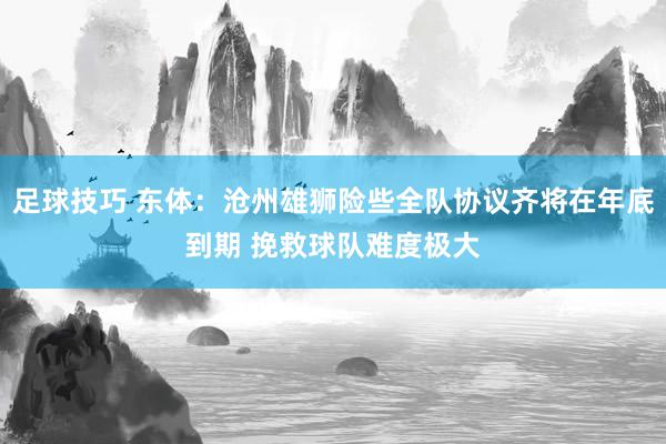 足球技巧 东体：沧州雄狮险些全队协议齐将在年底到期 挽救球队难度极大