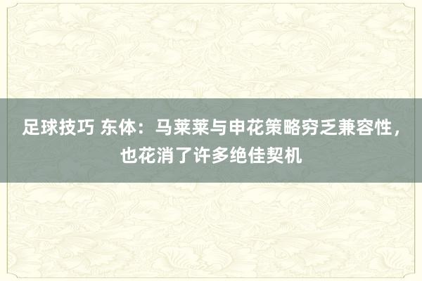 足球技巧 东体：马莱莱与申花策略穷乏兼容性，也花消了许多绝佳契机