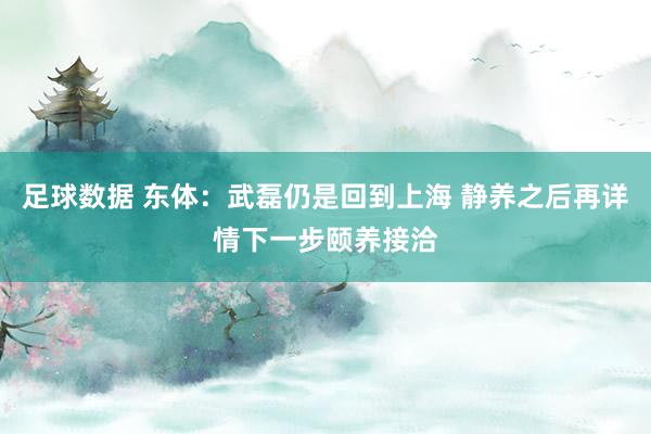 足球数据 东体：武磊仍是回到上海 静养之后再详情下一步颐养接洽