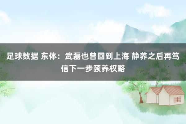 足球数据 东体：武磊也曾回到上海 静养之后再笃信下一步颐养权略