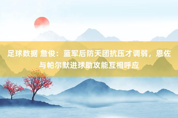 足球数据 詹俊：蓝军后防天团抗压才调弱，恩佐与帕尔默进球助攻能互相呼应